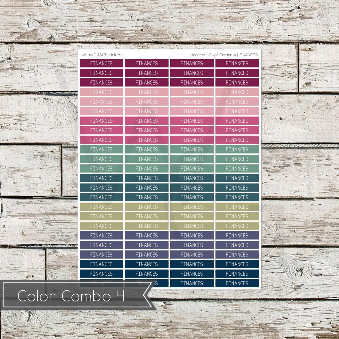 Planner Headers • Functional Planner Stickers • Finances