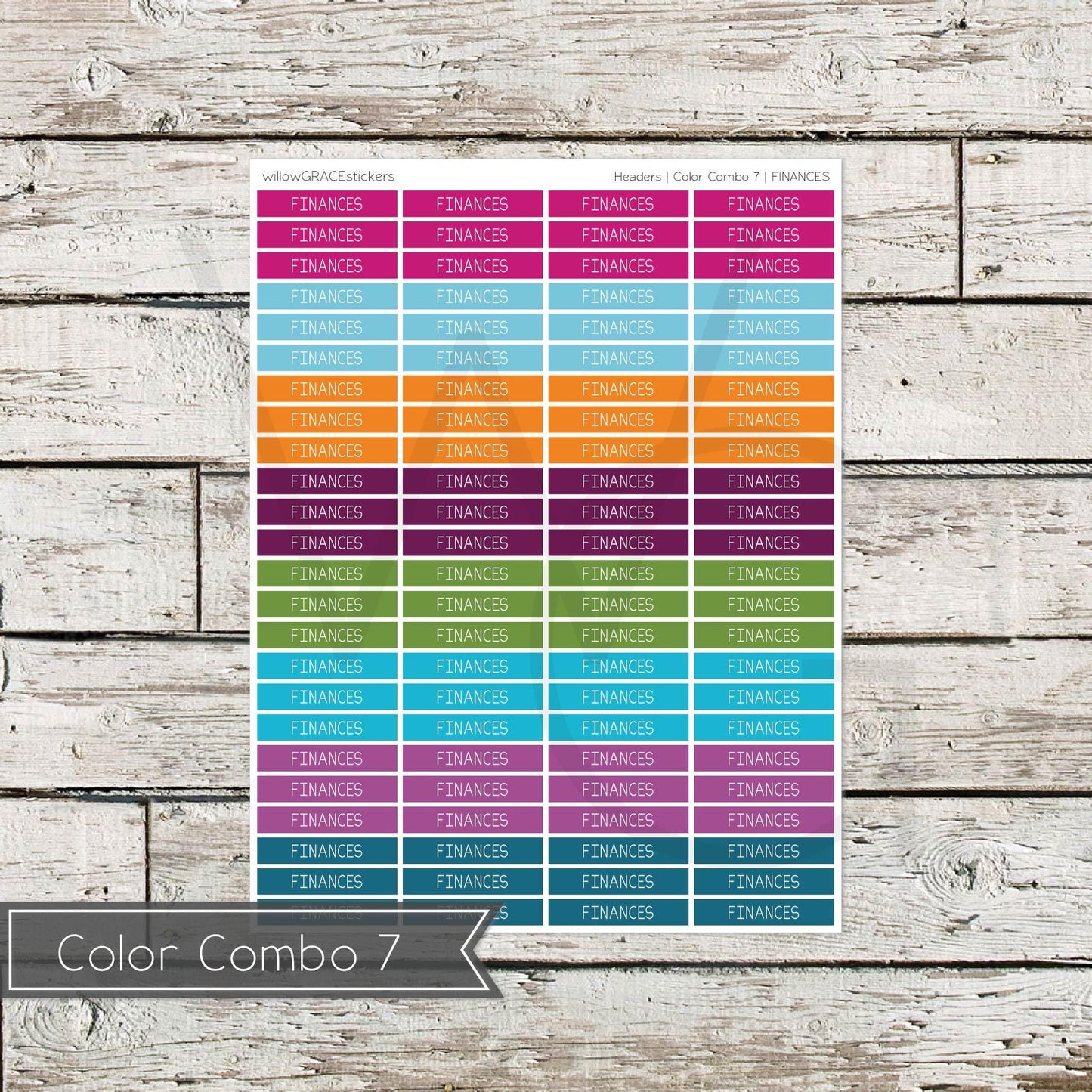 Planner Headers • Functional Planner Stickers • Finances
